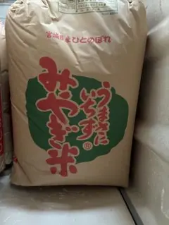 2026年最新】玄米 30Kg 令和6年の人気アイテム - メルカリ