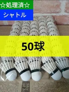 Item thumbnail for item b18aeb5d-2c1f-464b-8c7f-ceca8eafbbcf