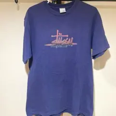 レアカラー】STUSSY ステューシー 半袖tシャツ フロントプリント M 