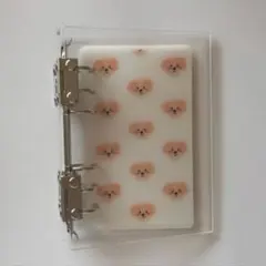 Item thumbnail for item bad54655-3fc0-4bd8-b0e9-f0d950243363