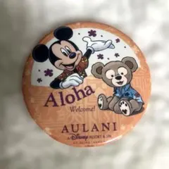 【匿名配送】ディズニー アウラニリゾート カンバッジ　缶バッチ　AULANI