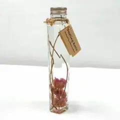 앤틱 ❤️ 로즈 허벌리움 핑크 로즈