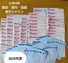 2025年度ぶんけい 5年 東京書籍 カラーテスト こたえてびきシート