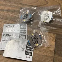 鴎台　ハイキューガチャガチャ　校章ピンバッジ