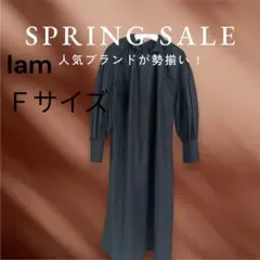 I_am Fサイズ 襟付きシャツワンピース
