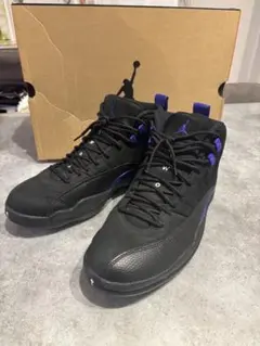 【希少】エアジョーダン12 Retro Black Dark Concord