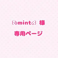 ꒰ঌmint໒꒱様専用ページ