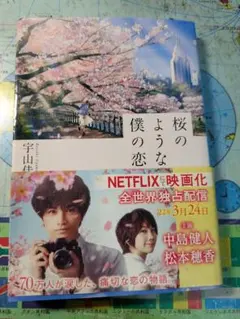 桜のような僕の恋人