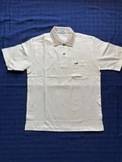 Item thumbnail for item 6dbd20d7-f78c-464f-aa63-04cfccb18efc