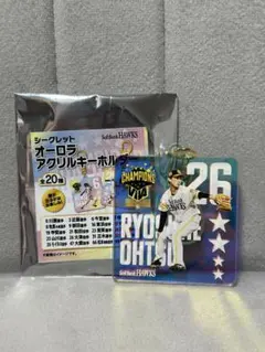 Item thumbnail for item 98576599-5569-44ec-b955-01bd874aa57f