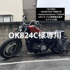 ハーレースポーツスター ドラッグスペシャリティーズ リアサス 11