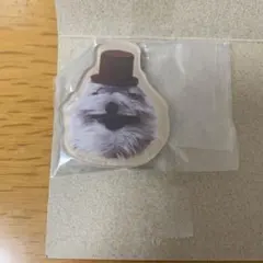 パペットスンスン キャラマグネッツ　ゾンゾン