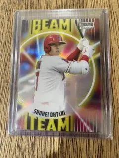 2018 大谷翔平 ルーキーカード‼️ SHOHEI OHTANI RC SP - メルカリ