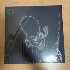 sigur ros Ágætis byrjun lp レコード　ほぼ新品