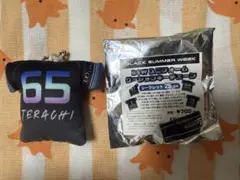 千葉ロッテマリーンズ BSW ユニフォームクッションキーチェーン #65 寺地