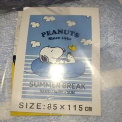 Item thumbnail for item b237105f-436a-44b7-bbf7-a188c88dc85f