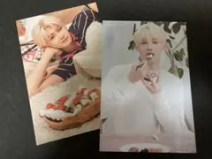 &team シーグリ2026 ポストカード jo