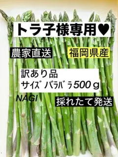 トラ子様専用♥ 福岡県産 訳ありアスパラガス 500g