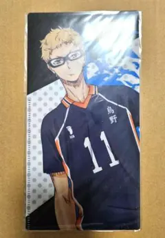 ハイキュー チケットホルダー 月島 J-WORLD アクキー 月島蛍 Jワ