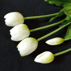 Item thumbnail for item 935c437f-68e8-4f81-bf88-db976b60ecb5