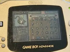 ポケットモンスターファイアレッド　色違いポケモン