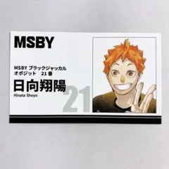 ハイキュー ファンパーク 名刺カードコレクション 日向