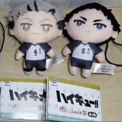 ハイキュー かぷっこふれんず3 ☆木兎光太郎☆赤葦京治 2種
