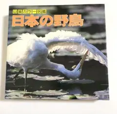 Item thumbnail for item c875cd93-753b-4f56-b432-a547f7985769