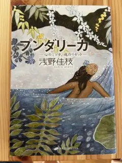 プンダリーカ - 心のミシキ、魂のリセット