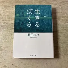 Item thumbnail for item 90b38c78-beb6-4ac2-a27d-c3495671c06b