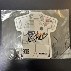 サンフレッチェ広島フレッチェサイン入りマグネット