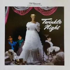 TM NETWORK　TWINKLE NIGHT　ミニアルバム　CD