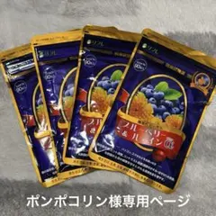 富士薬品 ルテイン&ブルーベリー2箱セット - メルカリ