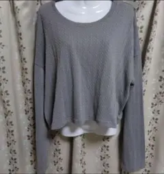 DAZY グレー 長袖 クロップドトップス