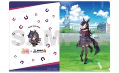 美浦村✖️ウマ娘　ライスシャワー クリアファイル 2枚セット