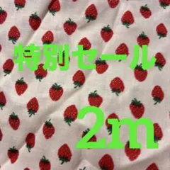 スケア生地　Handworks Fabric いちご柄