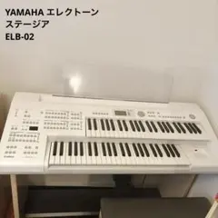 えくん YAMAHA ELB-02 2023年3月購入 41gU1X5jlYL.jpg