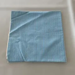 Item thumbnail for item 0887c596-59b9-4051-9240-5ca1d9f4ab12