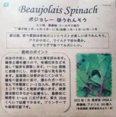 k.a.o.r.u.1550様 リクエスト 2点 まとめ商品