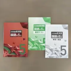 【ほぼ未使用】中学受験新演習 国語小5上