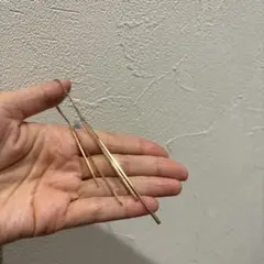 Item thumbnail for item 39147562-723e-421c-9e05-8e508c0b01f6