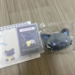 JOCHUM ピーハイ　シークレットブローチ　硬質カードケース