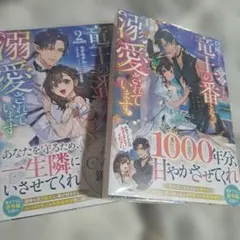 召喚された聖女ですが、竜王の番となって溺愛されています2巻セット　新品未開封