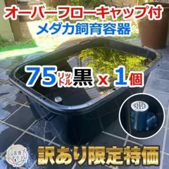 コッコリーノ様 リクエスト 3点 まとめ商品