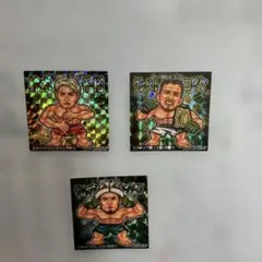 RIZIN 男祭り　ステッカー　ラジャブアリ　鈴木千裕　クレベル