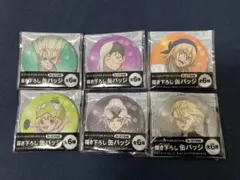 Dr.STONE 缶バッジ 6個セット