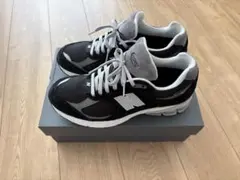 【極美品】ニューバランス 2002Rゴアテックス M2002RXD