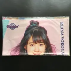 2025仲川瑠夏生誕すきくじ C賞チェキファイル - メルカリ