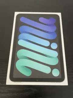 美品 iPad mini 第6世代 64GB cellular スペースグレイ