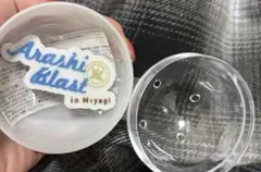 嵐 We are ARASHI カプセルトイ Blast in Miyagi